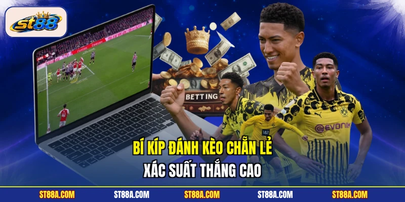 Bí kíp đánh kèo chẵn lẻ xác suất thắng cao